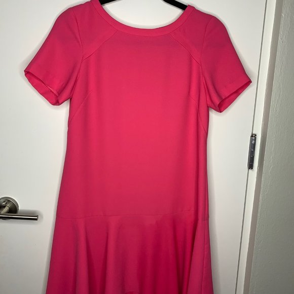 BANANA REPUBLIC PINK DROP WAIST DRESS - Picture 3 of 4